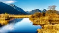 Snow covered peaks of the Coast Mountains surrounding the Pitt River and Pitt Lake in the Fraser Valley of British Columbia Canada Royalty Free Stock Photo