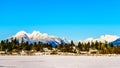 The snow covered peaks of the Golden Ears Mountain and Mount Robie Reid behind the town of Fort Langley in the Fraser Valley Royalty Free Stock Photo