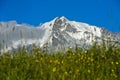 The snow-covered peaks of the Mont Blanc massif Royalty Free Stock Photo