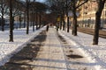 Snow covered pedesrian walk or street in Stockholm, Sweden in winter with trees