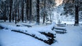 Snow Covered Picnic Area in Yosemite After Storm, Yosemite National Park, California Royalty Free Stock Photo
