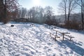 Snow covered picnic tables and area in William O`Brien State Park Minnesota Royalty Free Stock Photo