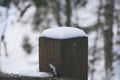 snow-covered pillar of a wooden fence Royalty Free Stock Photo