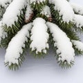 Substantial amounts of snow cap each branch highlighting the Royalty Free Stock Photo