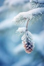 Snow-Covered Pine Cone Hanging From Tree Branch Royalty Free Stock Photo