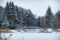 Snow covered pine forest and a bridge across the frozen river. Blue snowy winter, beautiful landscape. Christmas eve. Frosty Royalty Free Stock Photo