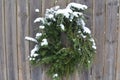 Snow covered pine juniper wreath wood fence gate Royalty Free Stock Photo