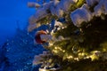 Snow covered pine tree with red glass ball ornament and lighting Royalty Free Stock Photo