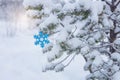 Snow-covered pine trees in the forest, Christmas decoration snowflake, frost and snow caps on the branches Royalty Free Stock Photo