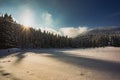 Snow covered pine trees at the mountains