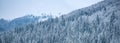 Snow covered pine trees in the mountains on winter landscape. Winter forest banner background. Winter Christmas Royalty Free Stock Photo