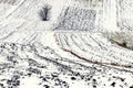 Snow-covered plowed field. Agricultural land in winter Royalty Free Stock Photo