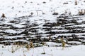 Snow-covered plowed field, agricultural land in winter Royalty Free Stock Photo