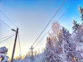 Snow-covered pole and wires and branches of trees covered with snow against blue sky. Dangerous frozen electrical wires