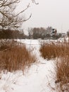 Snow covered pontoon near lake with reeds frozen winter day