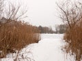 Snow covered pontoon near lake with reeds frozen winter day