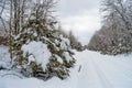 Railroad Tracks Snow Covered Royalty Free Stock Photo