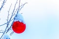 Snow covered Red Christmas Decoration hanging on tree branches of a tree Royalty Free Stock Photo