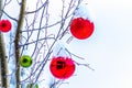 Snow covered Red and Green Christmas Decoration hanging on tree branches of a tree Royalty Free Stock Photo