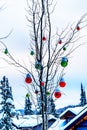 Snow covered Red and Green Christmas Decorations hanging on tree branches of a tree Royalty Free Stock Photo