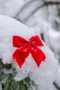 Snow covered red tied bow on fir branch on winter snowy background with copy space. Merry Christmas Happy New Year Royalty Free Stock Photo