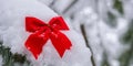 Snow covered red tied bow on fir branch on winter snowy background with copy space. Merry Christmas Happy New Year Royalty Free Stock Photo