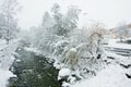 The snow-covered river