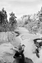 Snow covered river in a Wisconsin forest in January, vertical B&W Royalty Free Stock Photo