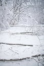 Snow Covered Road with Fallen Trees. Winter Storm Damage. Royalty Free Stock Photo
