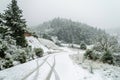 Snow Covered Road through Fir Tree Forest on a Cloudy Winter Day During Blizard. Bad Driving Conditions on the Snowy Mountain Royalty Free Stock Photo