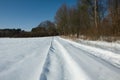 Snow-covered country road at the forest Royalty Free Stock Photo