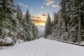 A snow covered road through a mountains pine forest