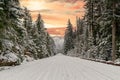 A snow covered road through a mountains pine forest