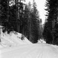 Snow-covered road near badger pass in Yosemite National Park in California, USA Royalty Free Stock Photo