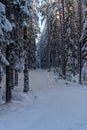 Snow covered road passing a winter forest in Sweden Royalty Free Stock Photo