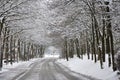 Snow covered road in a snowy white winter forest in Bad Fussing, Bavaria, Germany.