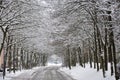 Snow covered road in a snowy white winter forest in Bad Fussing, Bavaria, Germany.