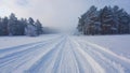 Snow covered road stretches under overcast sky, mist thickens between pine trees Royalty Free Stock Photo