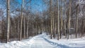 The snow-covered road winds through the deciduous forest. Royalty Free Stock Photo