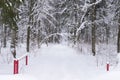 Snow-covered road in winter forest and open the gate at the entrance Royalty Free Stock Photo