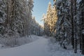 Snow covered road in a winter forest in Sweden Royalty Free Stock Photo