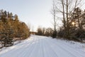 snow-covered road in the forest Royalty Free Stock Photo