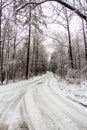 Snow covered road through the woods in winter Royalty Free Stock Photo