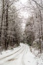 Snow covered road through the woods in winter Royalty Free Stock Photo