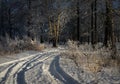 Snow-covered roads in the Russian forest. Frost and snow
