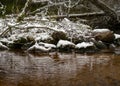 Snow-covered rock and dry grass by the river, winter day in nature Royalty Free Stock Photo