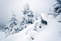 Snow-covered rocks, trees in Ural. Siberia.Taiga.