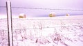 Snow covered round hay bales and a barbed wire fence Royalty Free Stock Photo
