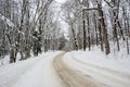 Snow Covered Rural Road Royalty Free Stock Photo