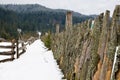 Snow covered rustic cabins in the woods in winter. Royalty Free Stock Photo